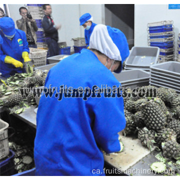 Planta de processament de suc de pinya/melmelada/puré